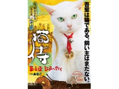 アニマルプラネット チャンネル詳細 J Comテレビ番組表 アニマルプラネット チャンネル詳細 J Comテレビ番組表