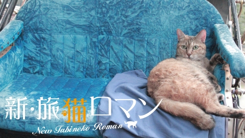 新・旅猫ロマン #7
