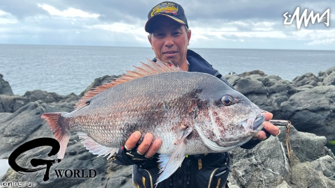 G WORLD 44 新潟粟島 マダイ釣り