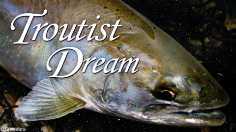 【FV CLASSIC】Troutist Dream　新潟荒川のサクラマスゲーム
