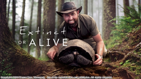 追跡！幻の絶滅動物：ミラーズ・グリズルド・ラングール(二)