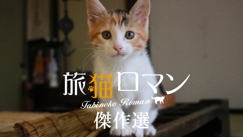 旅猫ロマン　傑作選 #5