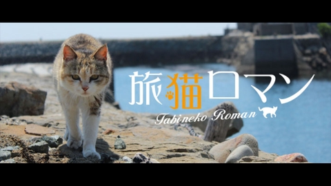 旅猫ロマン #37