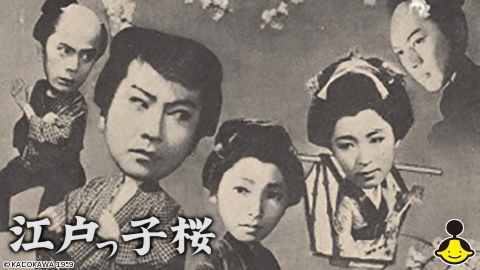 [映]江戸っ子桜