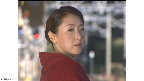 温泉若おかみの殺人推理シリーズ１４　▼東ちづる