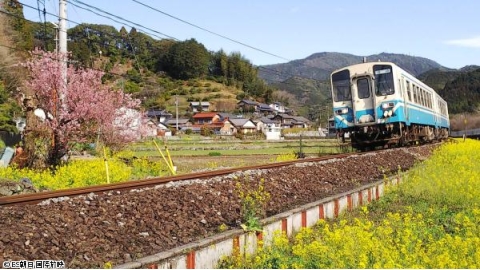 新　鉄道・絶景の旅▼土佐くろしお鉄道＆土讃線で行く　桜と？？が競演！高知横断の旅
