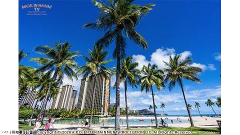 ハワイ発！Made in Hawaii TV〜ハワイから愛を込めて〜