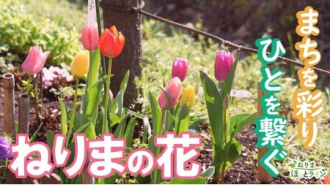 ねりまほっとライン　▽まちを彩り　ひとを繋ぐ　ねりまの花