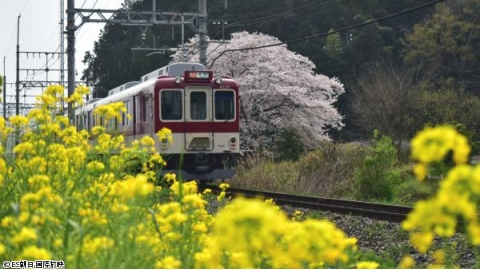 新　鉄道・絶景の旅▼艶やかな桜が迎える　近鉄でまほろばの里を行く