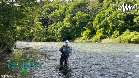 TROUT QUEST 22 北上川のサクラマス