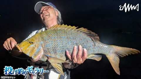 [解]投げ釣りギャラリー 南紀エリアで狙うタマミ