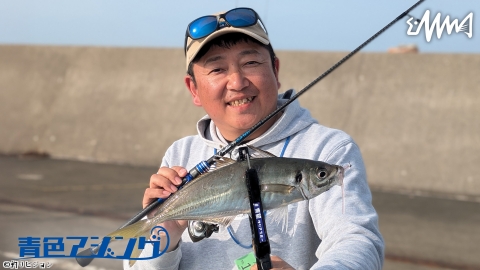 青色アジング 8 尺アジ無双！衝撃の新潟県直江津
