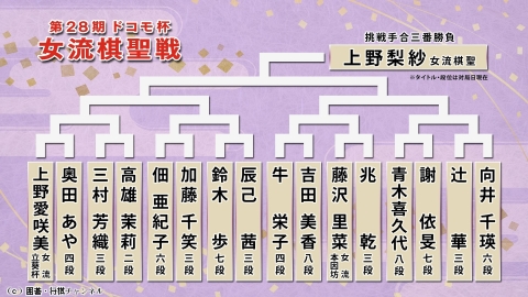 囲碁）第28期 ドコモ杯女流棋聖戦[セレクション]