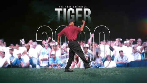 Ｔｉｇｅｒ２０００