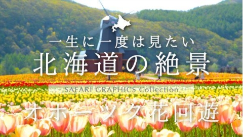 北海道の絶景　オホーツク花回遊