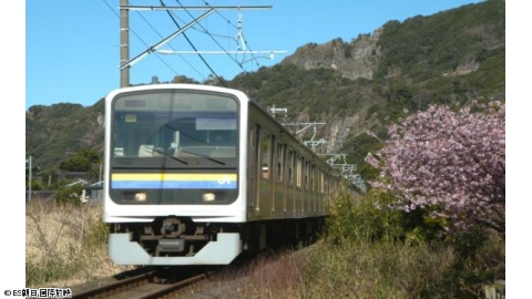 新　鉄道・絶景の旅▼春の息吹に誘われて！花が彩る房総半島　海編