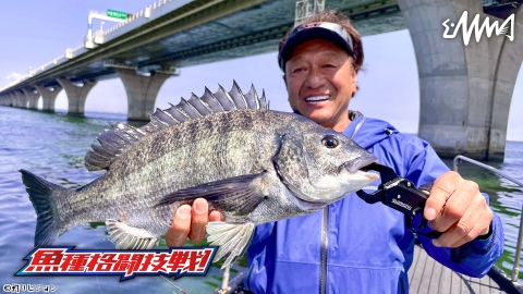魚種格闘技戦！ 242 東京湾チヌトップゲーム