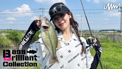 BassBrilliant Collection 3