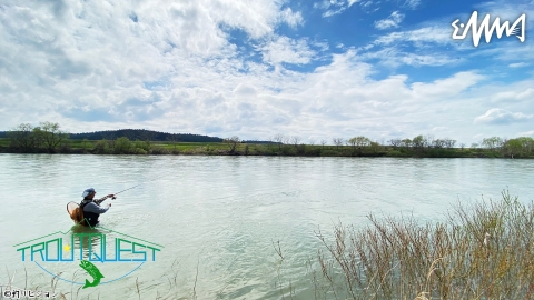 TROUT QUEST 30 米代川のサクラマス