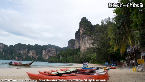 魅惑のビーチと食の旅 #4