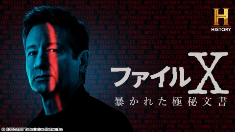 ファイルX:暴かれた極秘文書