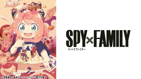 SPY×FAMILY（スパイファミリー） #43