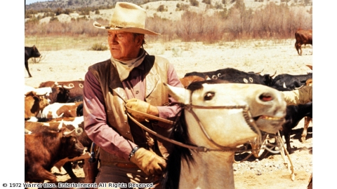 11人のカウボーイ