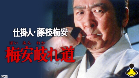 仕掛人・藤枝梅安 梅安岐れ道 | J:COMテレビ番組表