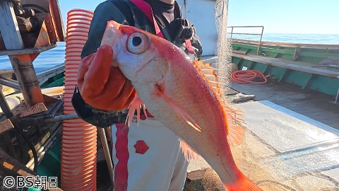 [字]魚が食べたい!　「震災から1年半…石川県輪島港の名物漁師さんに密着」